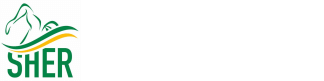 TimeToSignUp.com